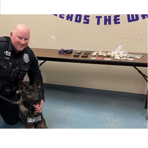 Dual Purpose Patrol Narcotics Detection Dog drug bust