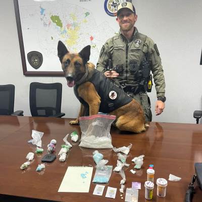 Dual Purpose Patrol Narcotics Detection Dog, Police Dog Niko, Police Dog drug bust, Georgetown PD