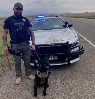 Narcotics Detection Dog