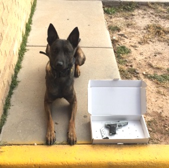 Explosives Detection Dog Nero.
Police BombDog 
New Mexico