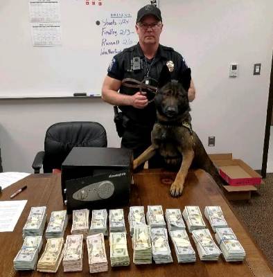 Dual Purpose Patrol Narcotics  Detection Dog drug bust