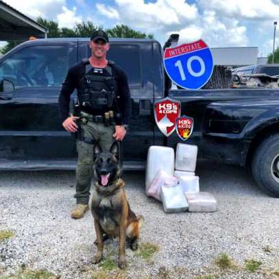 Dual Purpose Patrol Narcotics Detection Dog