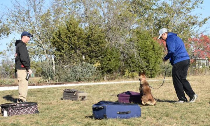 K9 Handler Training for Explosives Detection Bomb Dogs