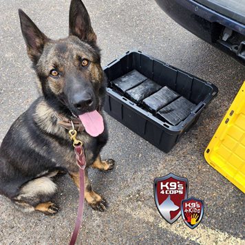 Dual Purpose Patrol Narcotics Detection Dog Drug Bust