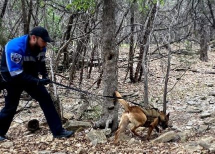 Tracking dog training at Pacesetter K9