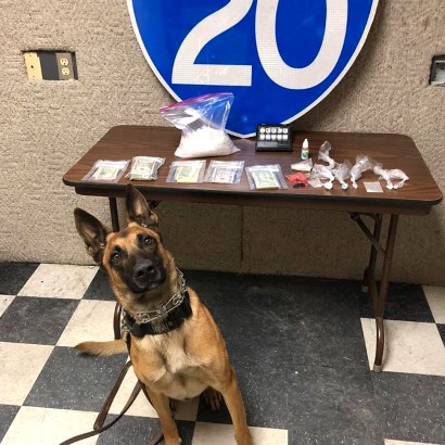 Dual Patrol Drug Dog drug bust