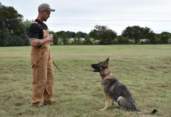 K9 Trainer Course, Obedience training