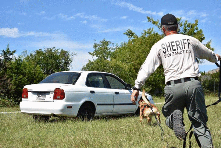 Dual Patrol Detection Dog Training, vehicle extraction.